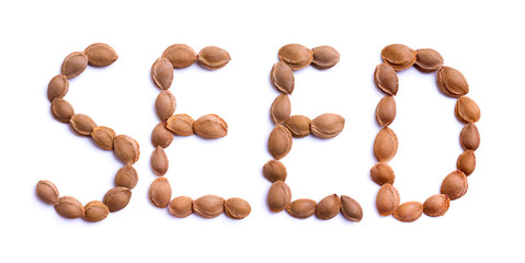 seed text of apricot pits - isolated on white background