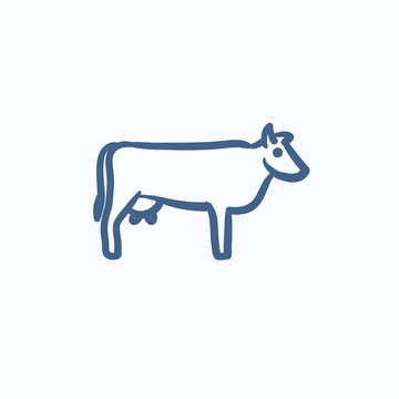 Cow sketch icon.