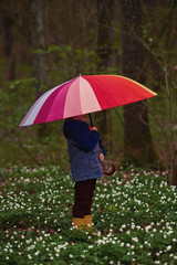 little boy in spring forest with many flowers