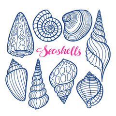 set of sketch seashells