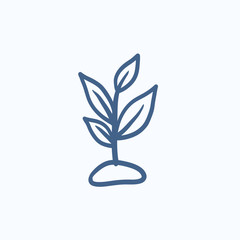 Sprout sketch icon.