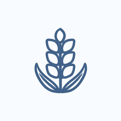 Wheat sketch icon.