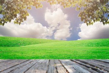 The landscap sky and grass on background retouch