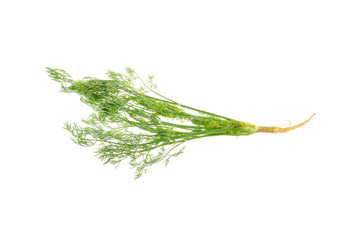 fresh dill isolated