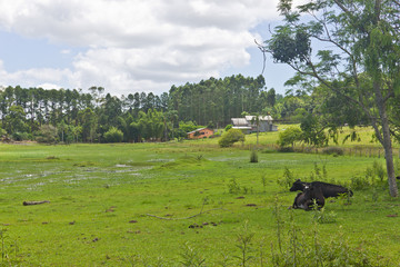 Farm at Torres