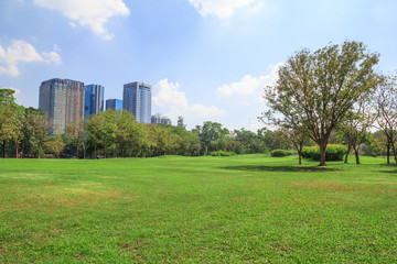 Fototapeta premium Park in city