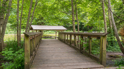 Fototapeta premium Wooden bridge in the forest