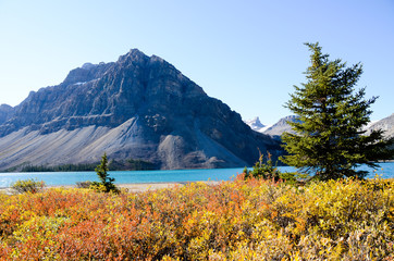 カナディアンロッキー　秋のボウ湖