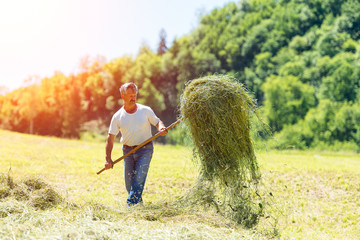 Farmer with a pitchfork collecting hay