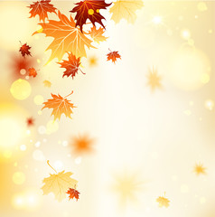 Fall background