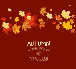 Leaves on purple background