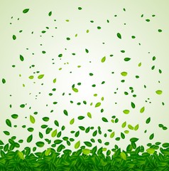 Backdrop with green leaves