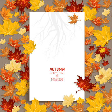 White blank with autumn leaves