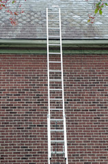 Ladder Against Slate Roof