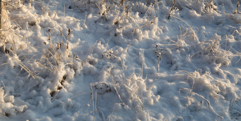  Hoarfrost early in the christmas morning
