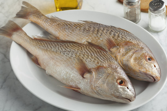  Pair of fresh raw koebi fish