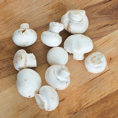 fresh mashrooms on wooden background