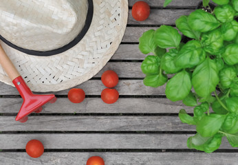 chapeau de paille, outil, tomate et basilic sur planche