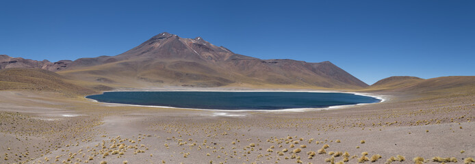 Laguna altiplanica reserva San Pedro de Atacama Chile , Désert d'Atacama 