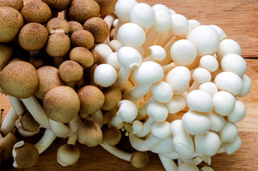 Close up Shimeji Mushroom on wood background