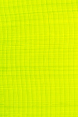 Colorful light green background