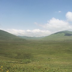 Georgia