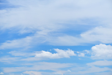 Young Jackfruit hanging on t tree