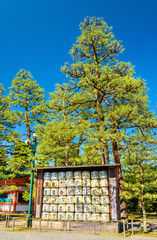 Fototapeta premium Sake barrels at Heian Shrine in Kyoto