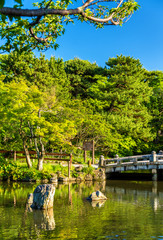 Naklejka premium Maruyama Park in Kyoto, Japan