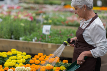 portrait of senior woman gardening