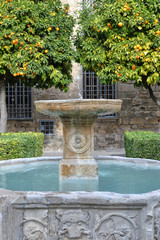 Fountain and orange trees in Ubeda, Andalusia