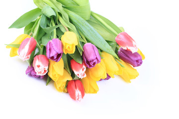 bouquet of tulips isolated on white background