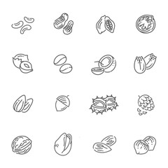 Obraz premium web icons collection - nuts, beans and seed