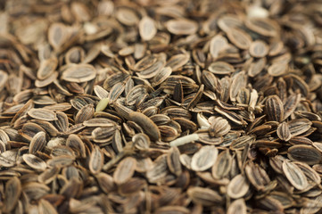 Dill seeds texture.
