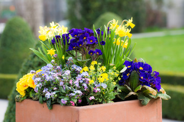 Rectangular flower pot in a park