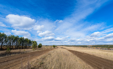 Fototapeta na wymiar road in the field of the wheat
