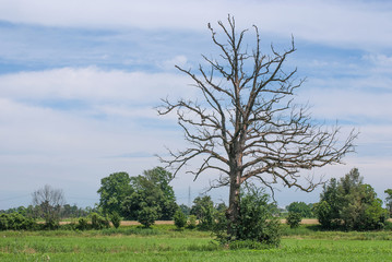 paesaggio di campagna