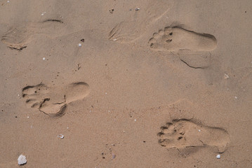 Footprint on sand