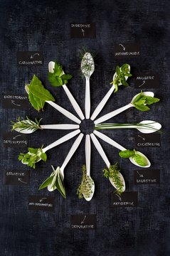 orologio della salute: le erbe aromatiche