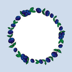 Vector hand drawn blueberries label. 