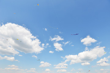 Beautiful kites