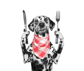dog wants to eat and hold knife and fork