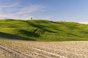 Panoramica della campagna toscana presso Pienza