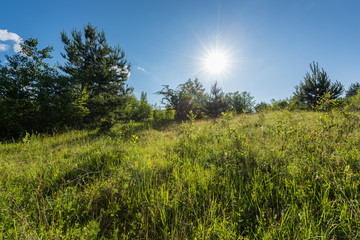Fototapeta premium Sun is shining over a green alpine meadow