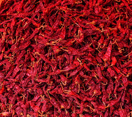 Fototapeta premium Dried chilies