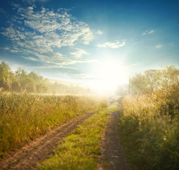 Country road among fields at sunrise on background sky