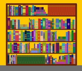 Wooden bookcase with many books