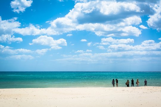 Tunisia beach, Hammamet Jasmine