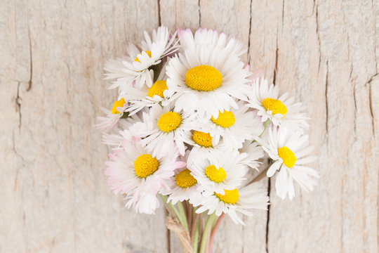 Bouquet of daisies on wooden background