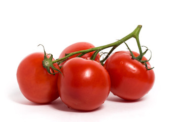 Red tomatoes on a branch isolated on white background